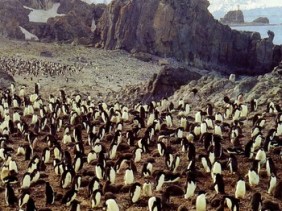 Membership - "Everybody Wants To Be An Artist Nowadays"