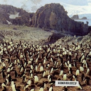 Membership - "Everybody Wants To Be An Artist Nowadays"